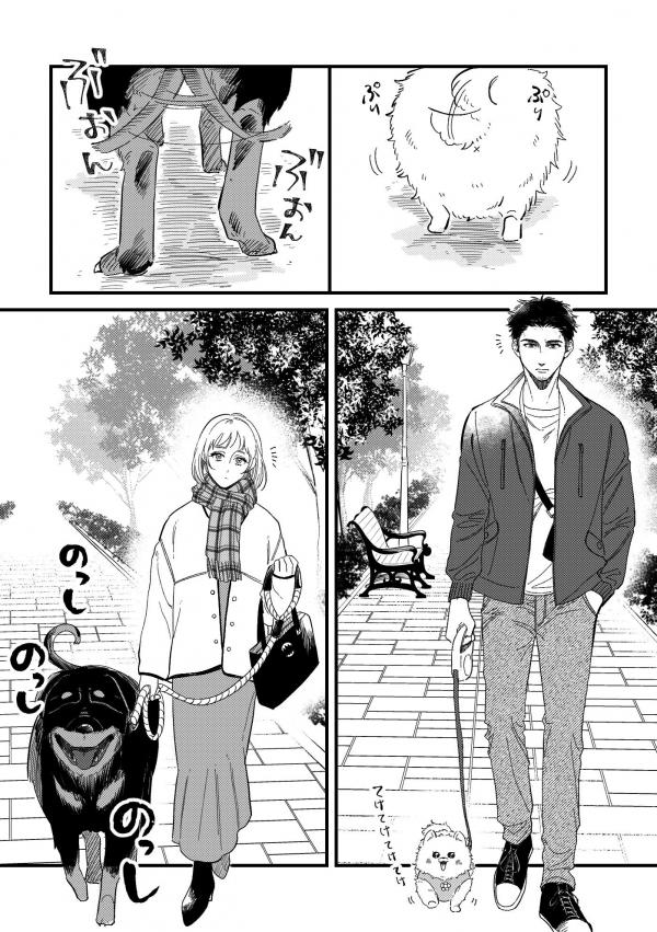 Encounter Between Polar Opposites with Their Dogs Encounter Between Polar Opposites with Their Dogs