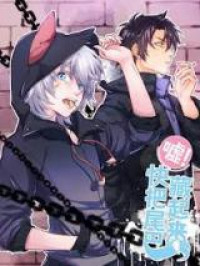 Shush! Hide Your Tail Shush! Hide Your Tail