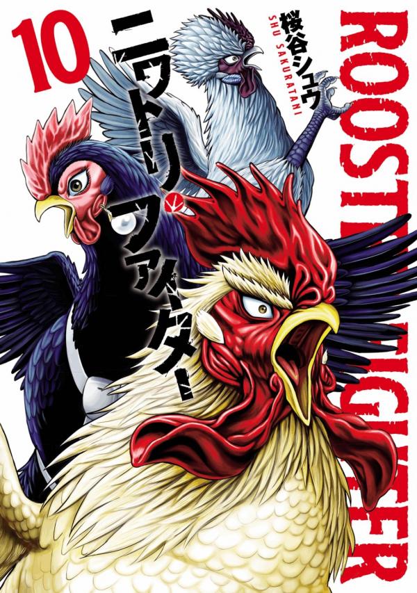Rooster Fighter