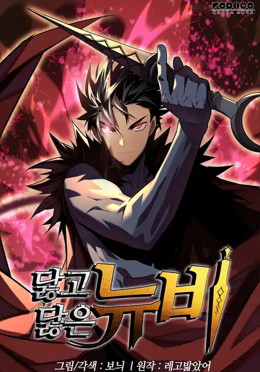 Novato Roto y Desgastado